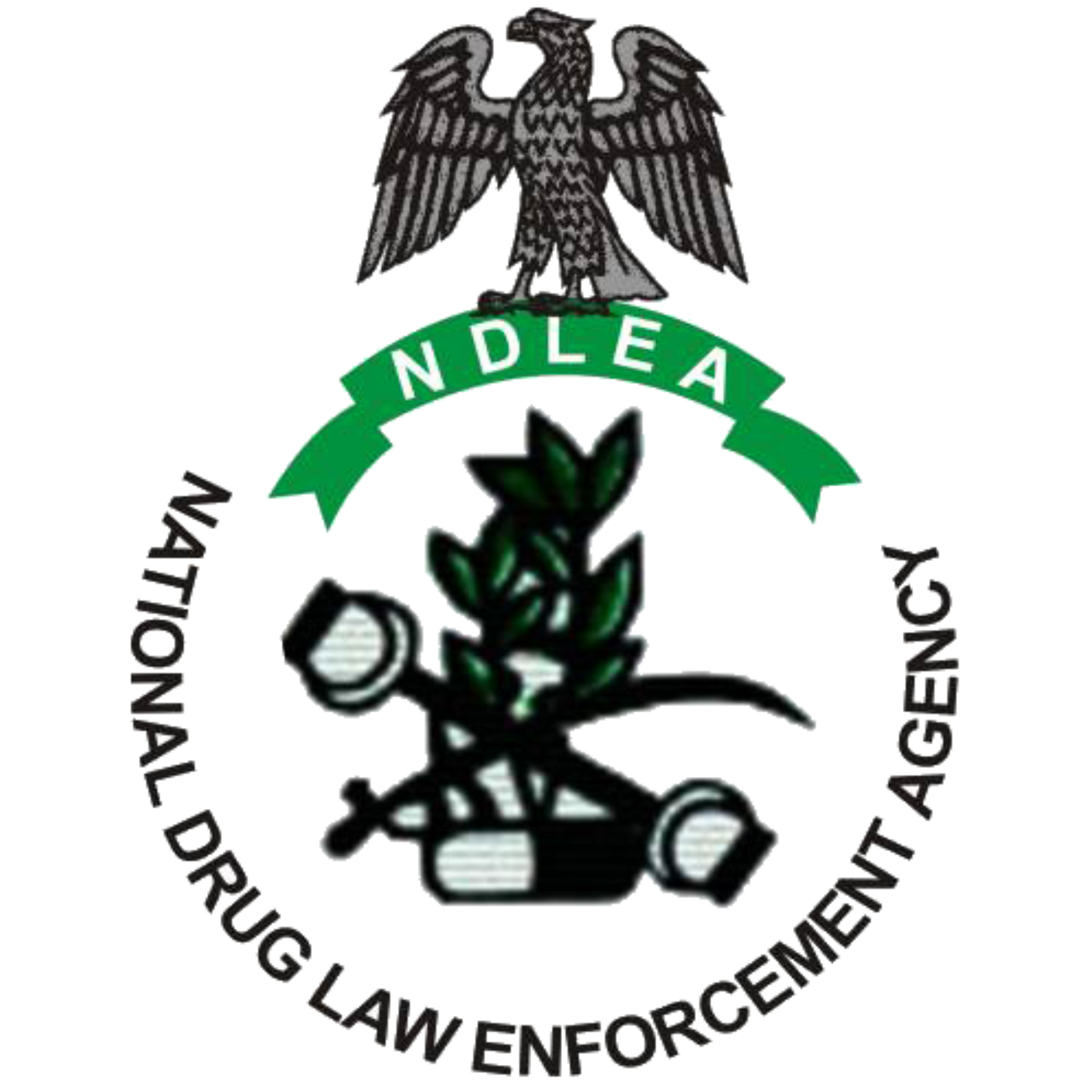 NDLEA